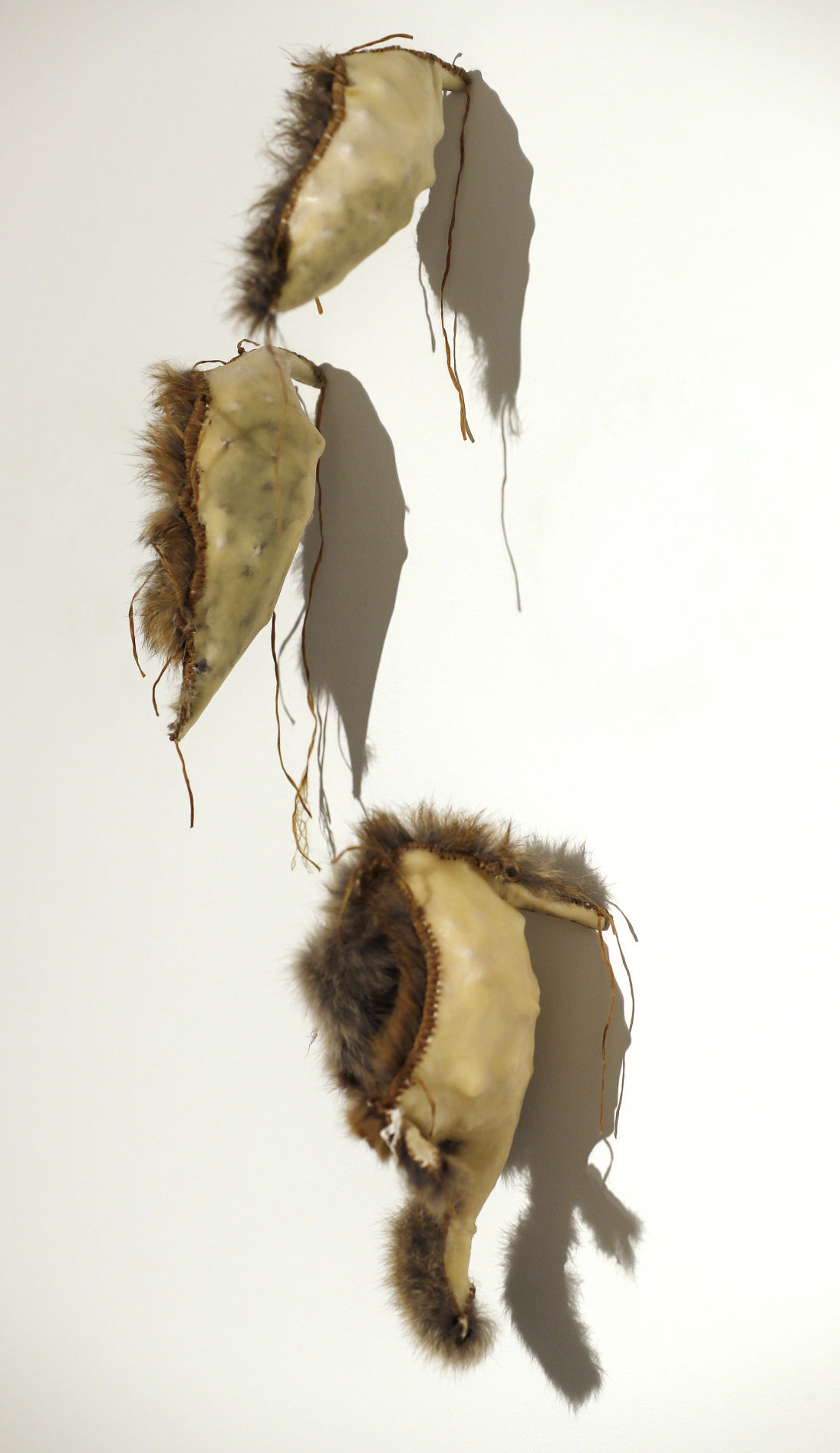 Tracy Linder